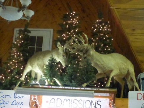 Double Diamond Deer Ranch Christmas Clearance Sale